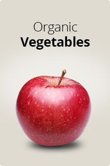 RightBanner 1 RightBanner 1